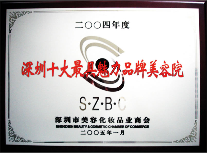 91视频污版下载2004年十大最具魅力品牌91视频高清免费院